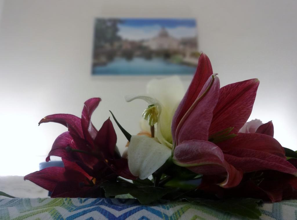 Romulea Guest House Екстер'єр фото